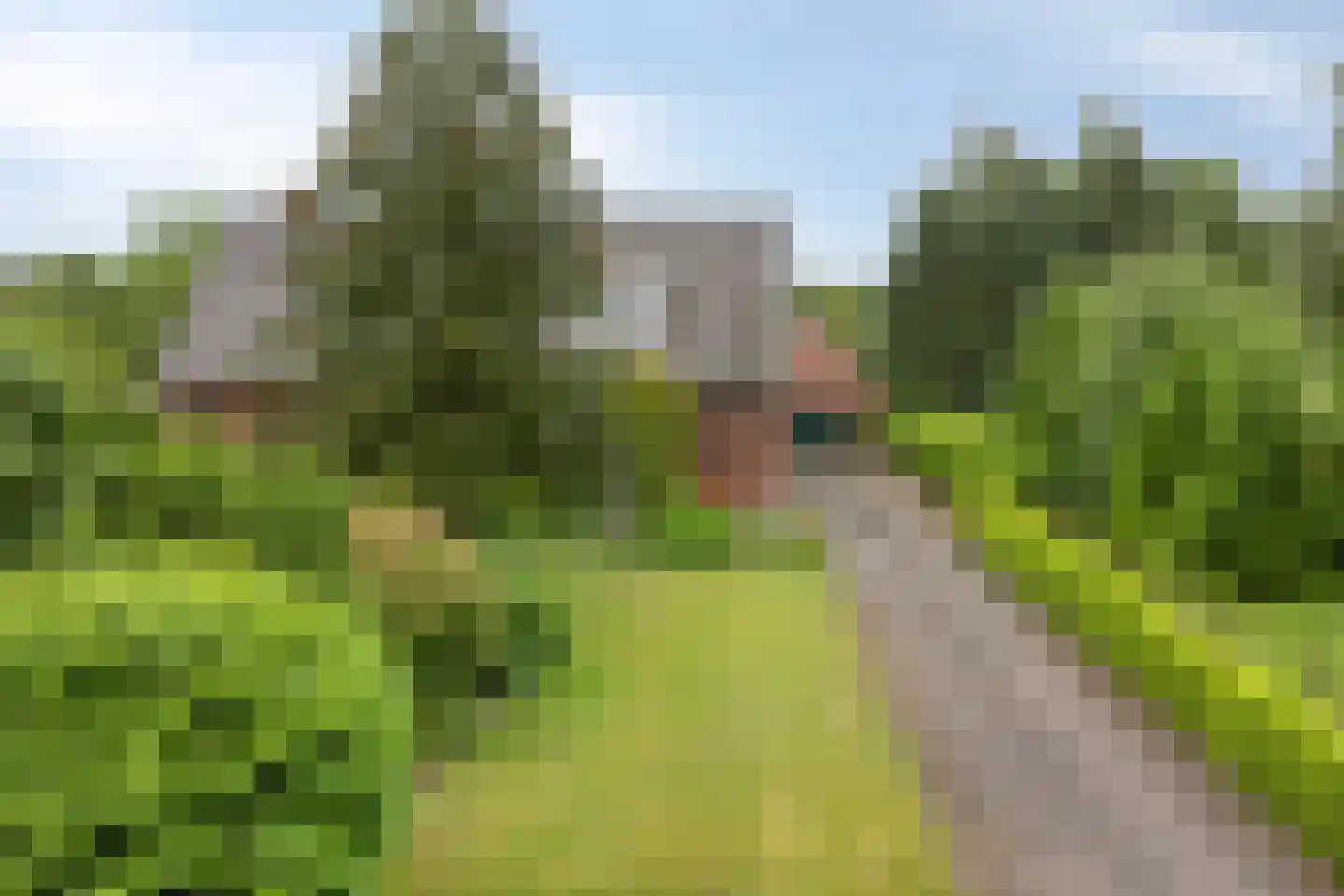 Goormatenweg 32 Overdinkel thumbnail 41