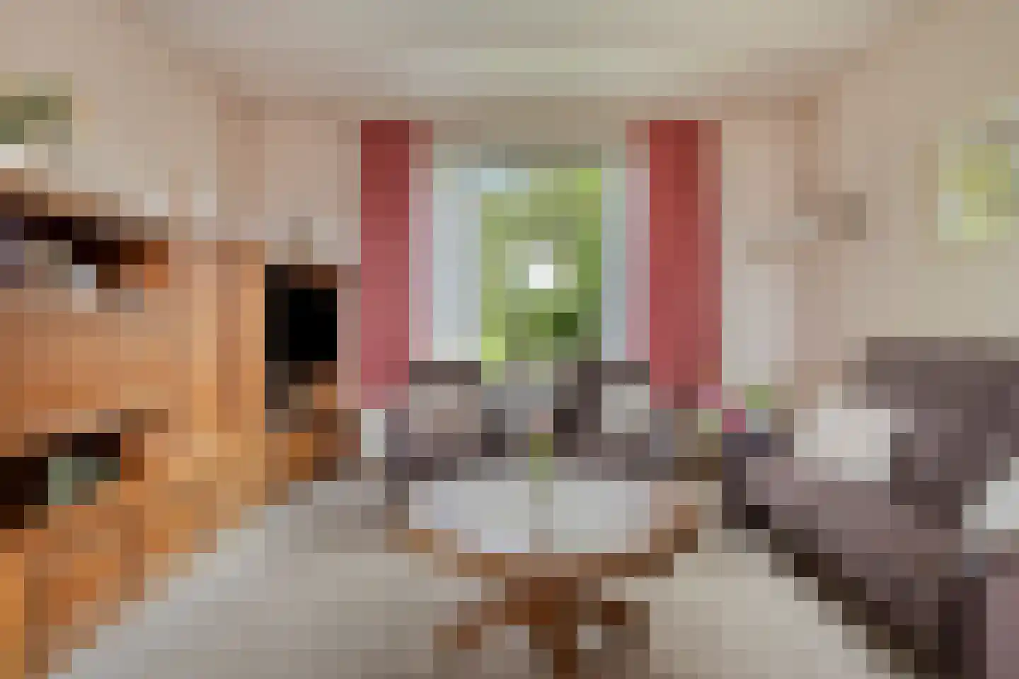 Goormatenweg 32 Overdinkel thumbnail 9