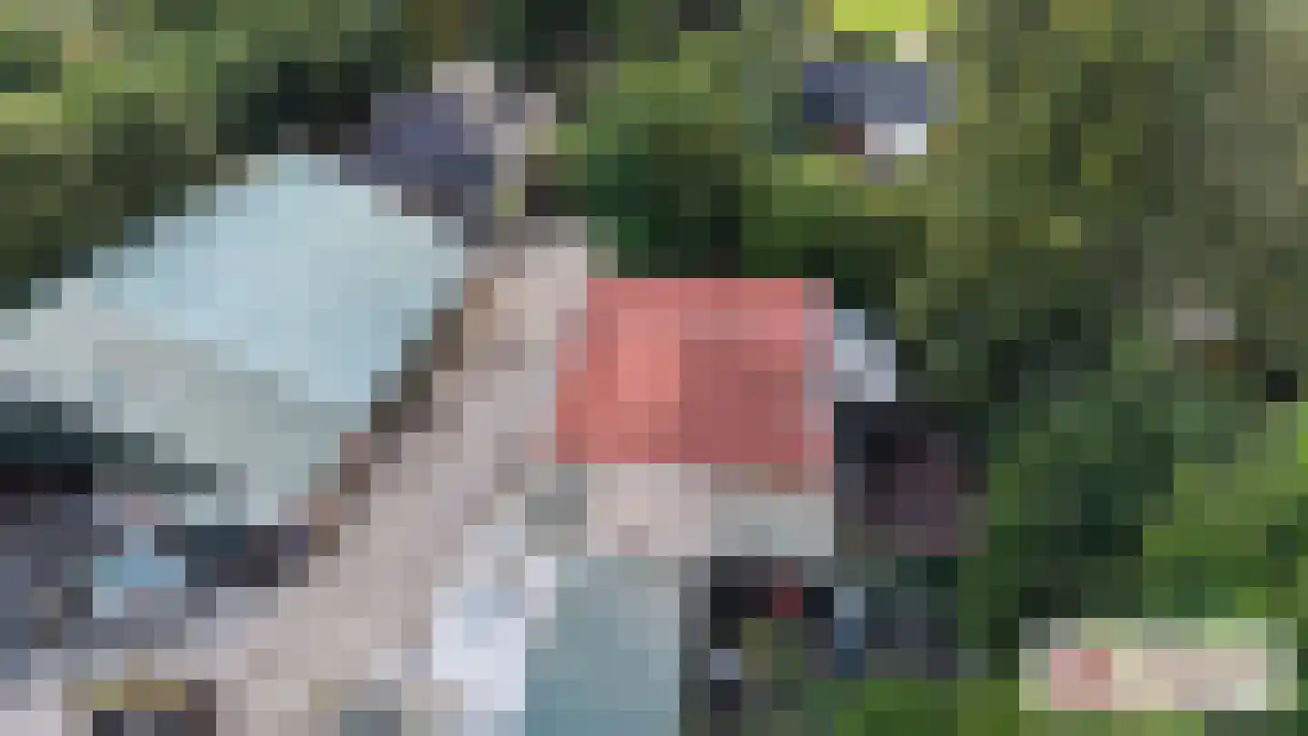 Goormatenweg 43 Overdinkel thumbnail 10