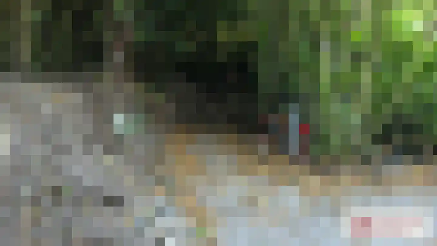 Goormatenweg 43 Overdinkel thumbnail 100