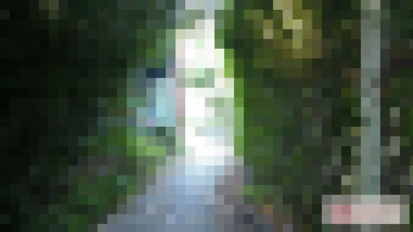 Goormatenweg 43 Overdinkel thumbnail 101