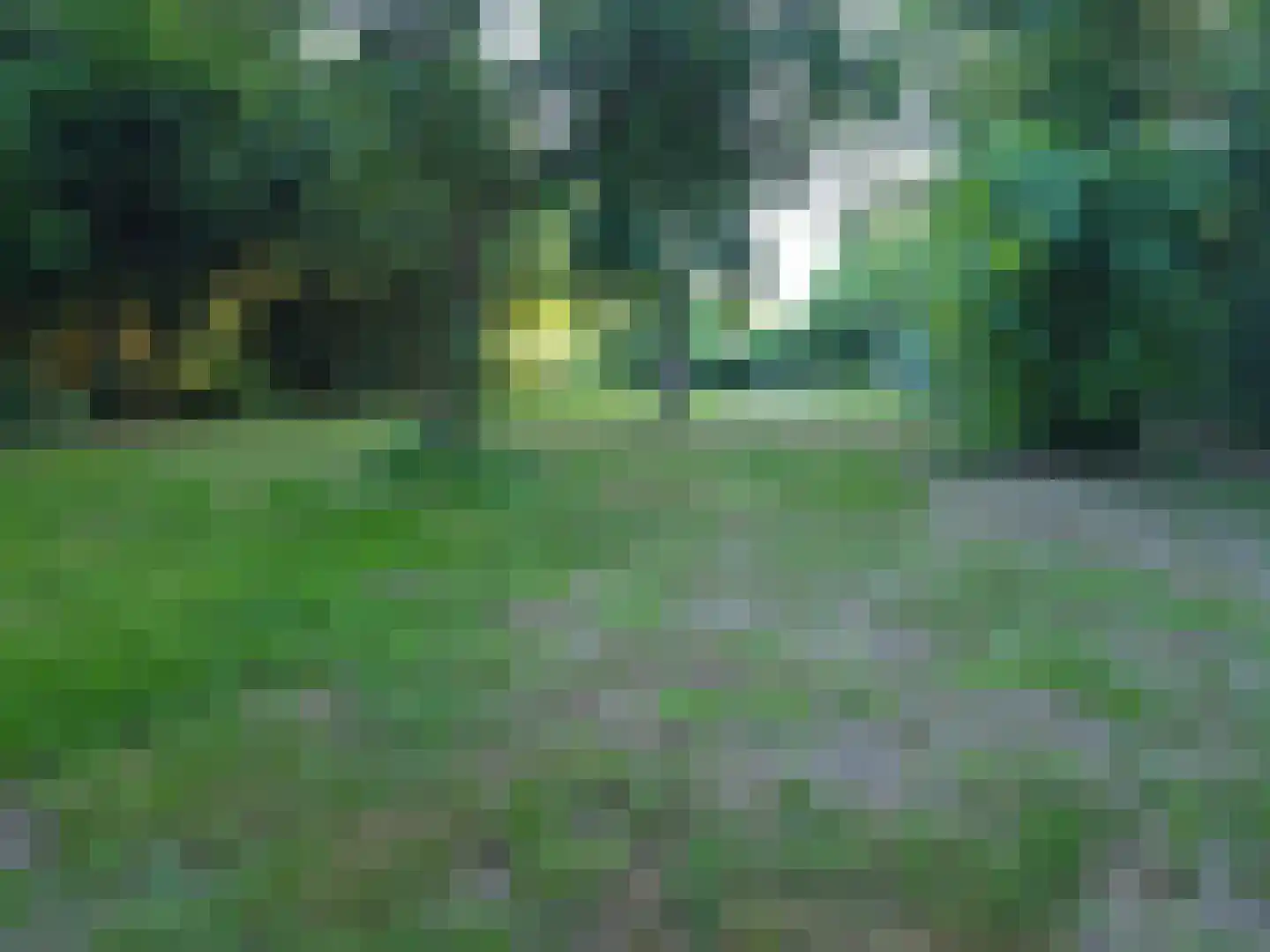 Goormatenweg 43 Overdinkel thumbnail 103