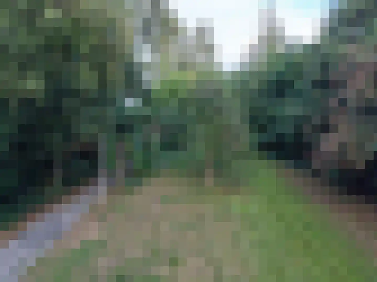 Goormatenweg 43 Overdinkel thumbnail 105