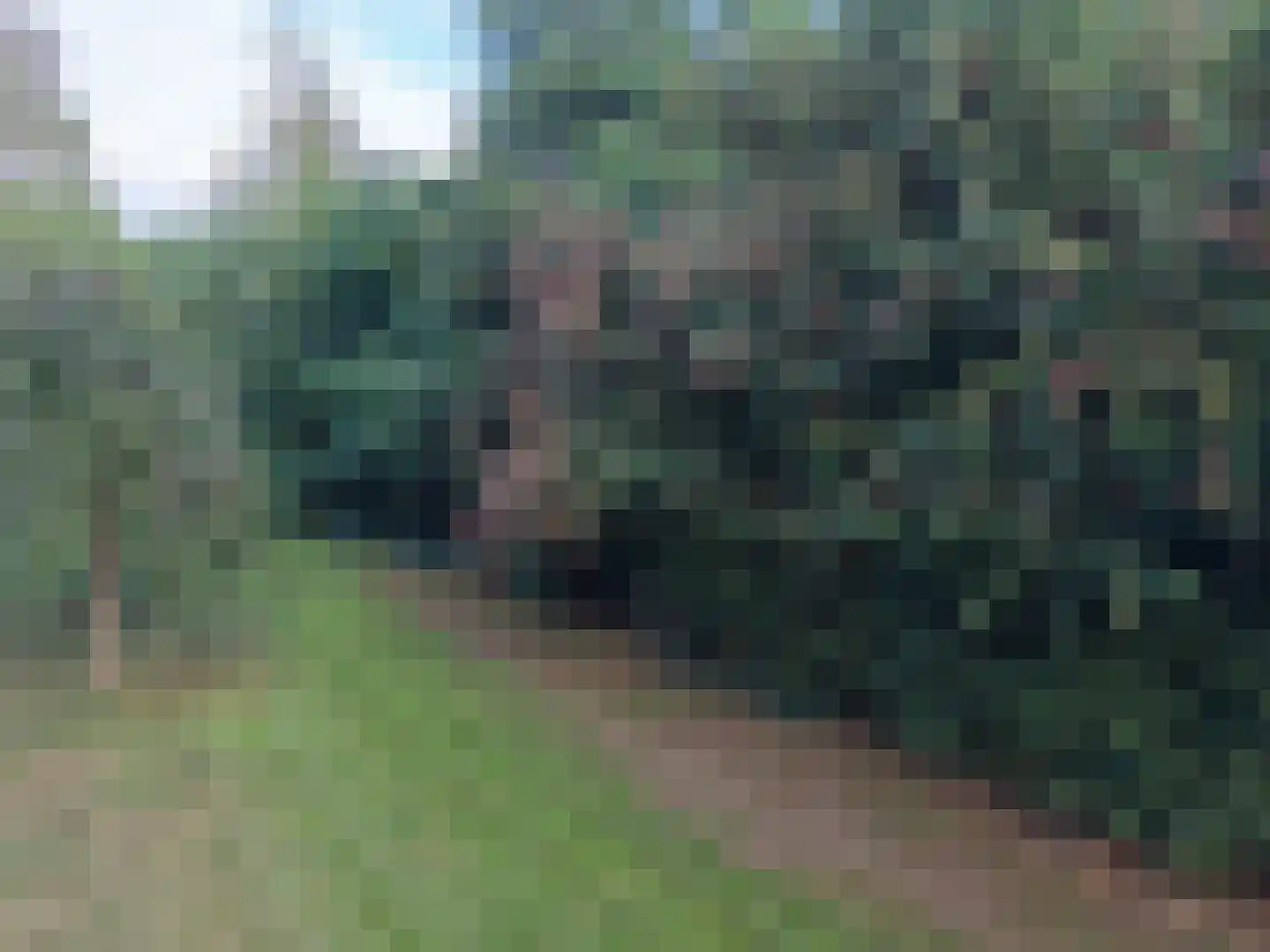 Goormatenweg 43 Overdinkel thumbnail 106