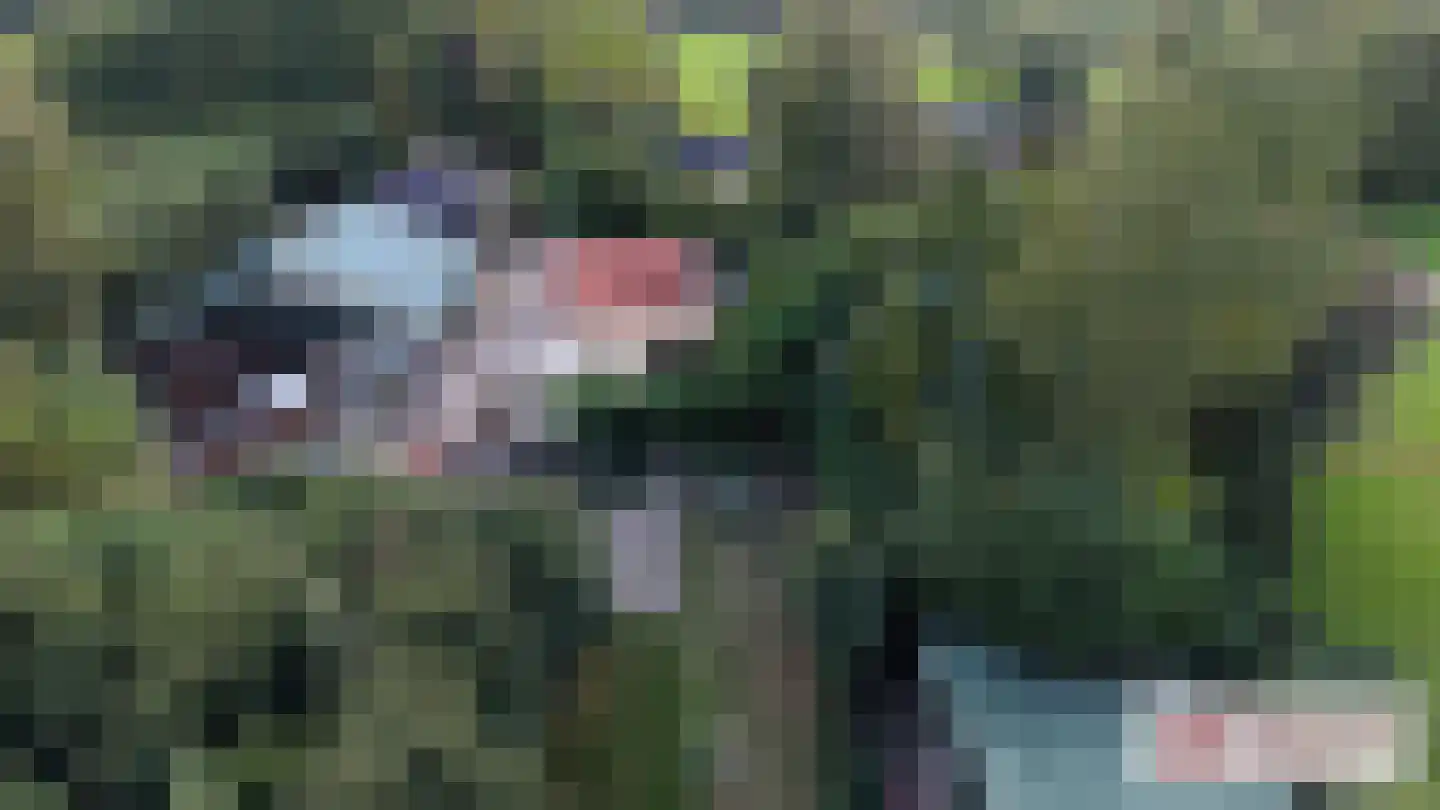 Goormatenweg 43 Overdinkel thumbnail 11
