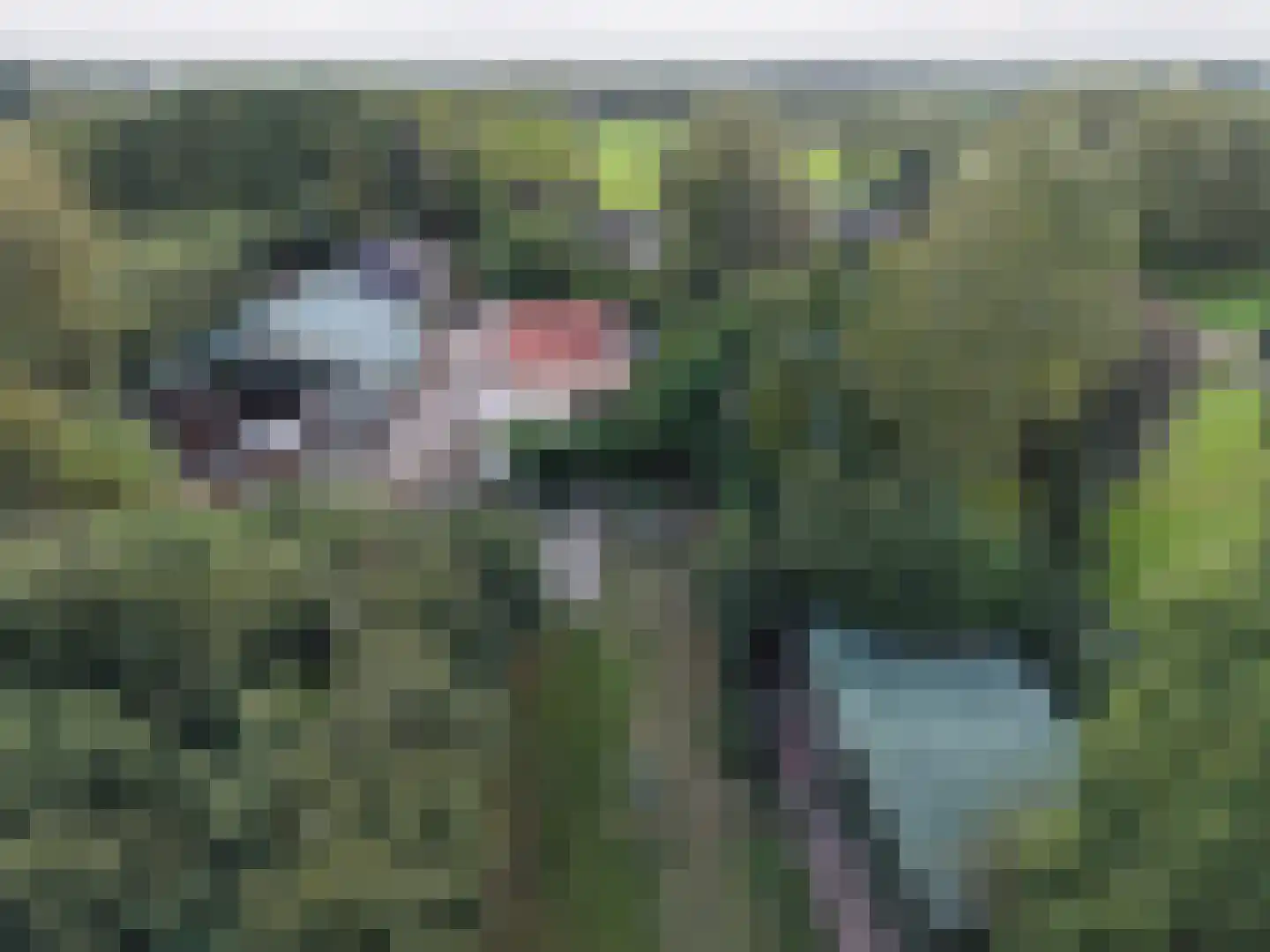 Goormatenweg 43 Overdinkel thumbnail 111