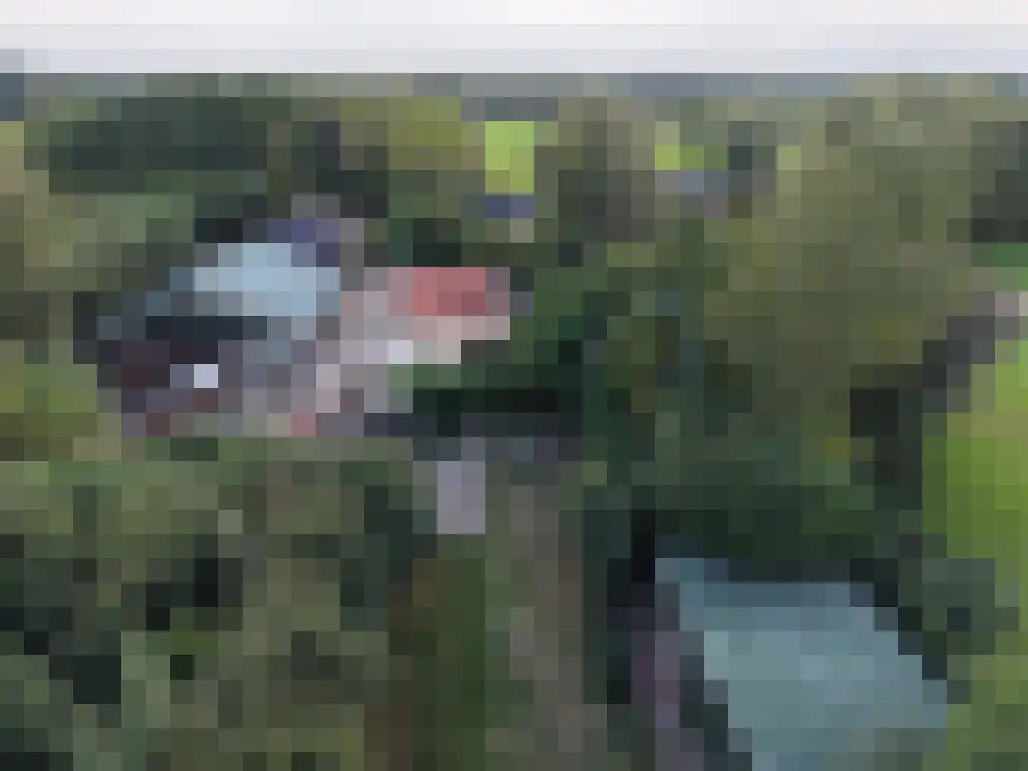 Goormatenweg 43 Overdinkel thumbnail 112