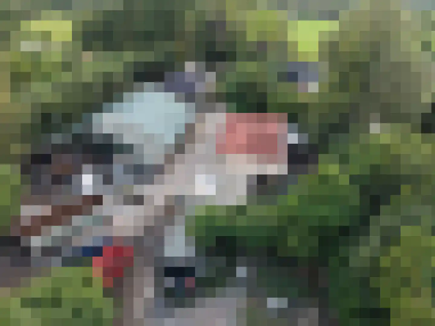 Goormatenweg 43 Overdinkel thumbnail 114