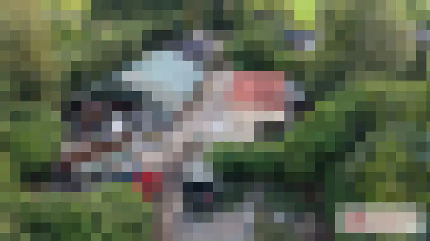 Goormatenweg 43 Overdinkel thumbnail 12
