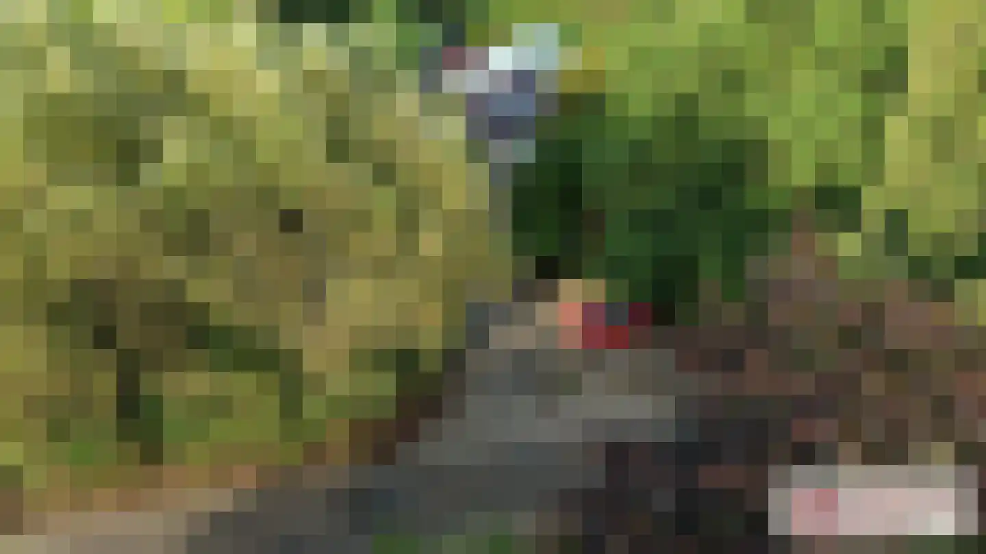 Goormatenweg 43 Overdinkel thumbnail 13