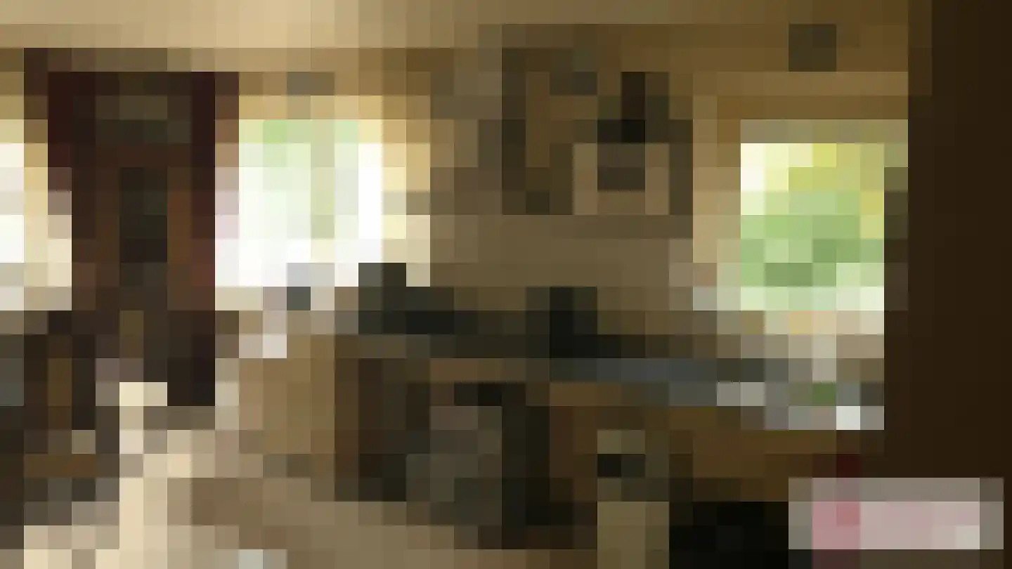 Goormatenweg 43 Overdinkel thumbnail 14