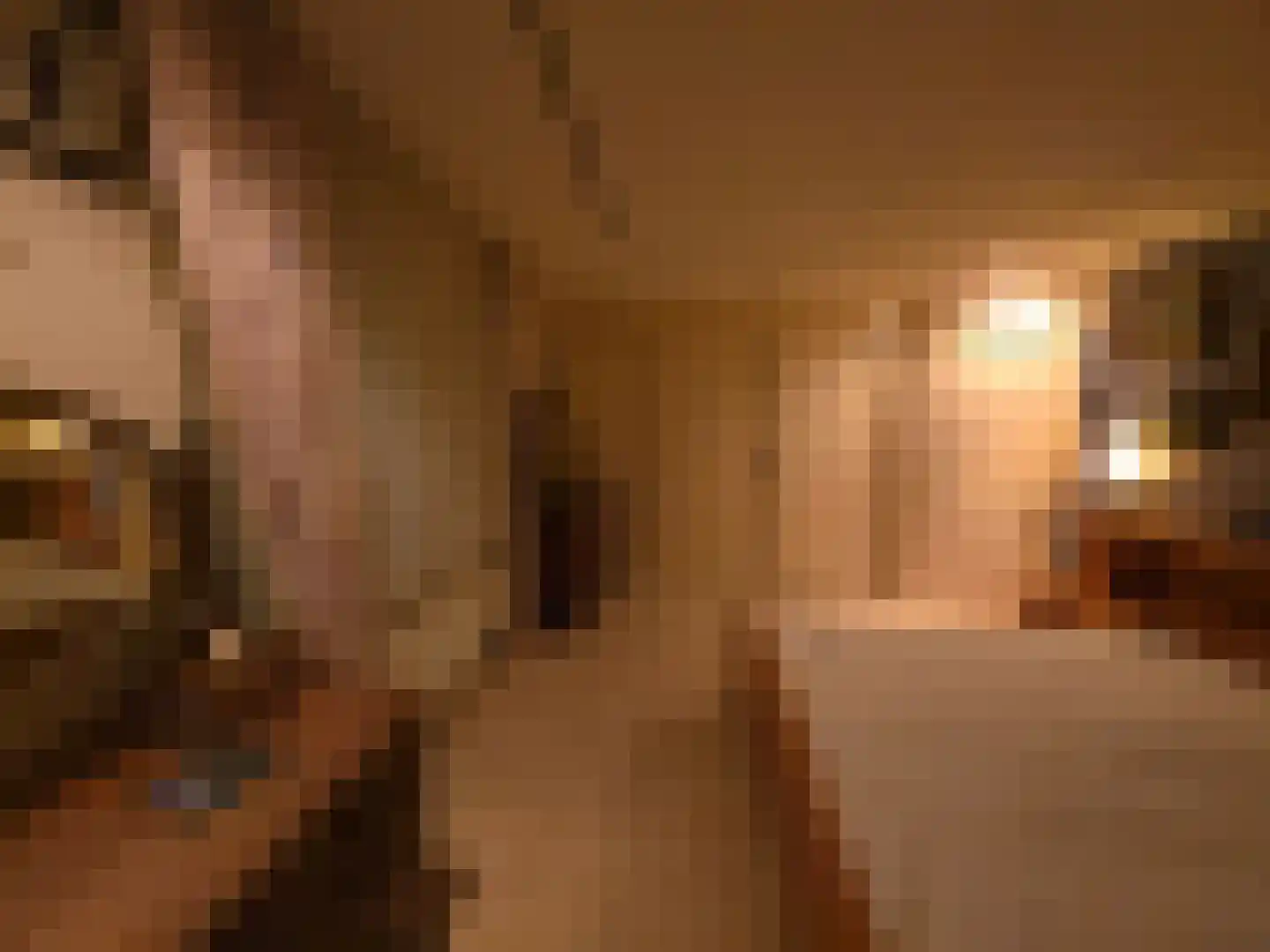 Goormatenweg 43 Overdinkel thumbnail 33