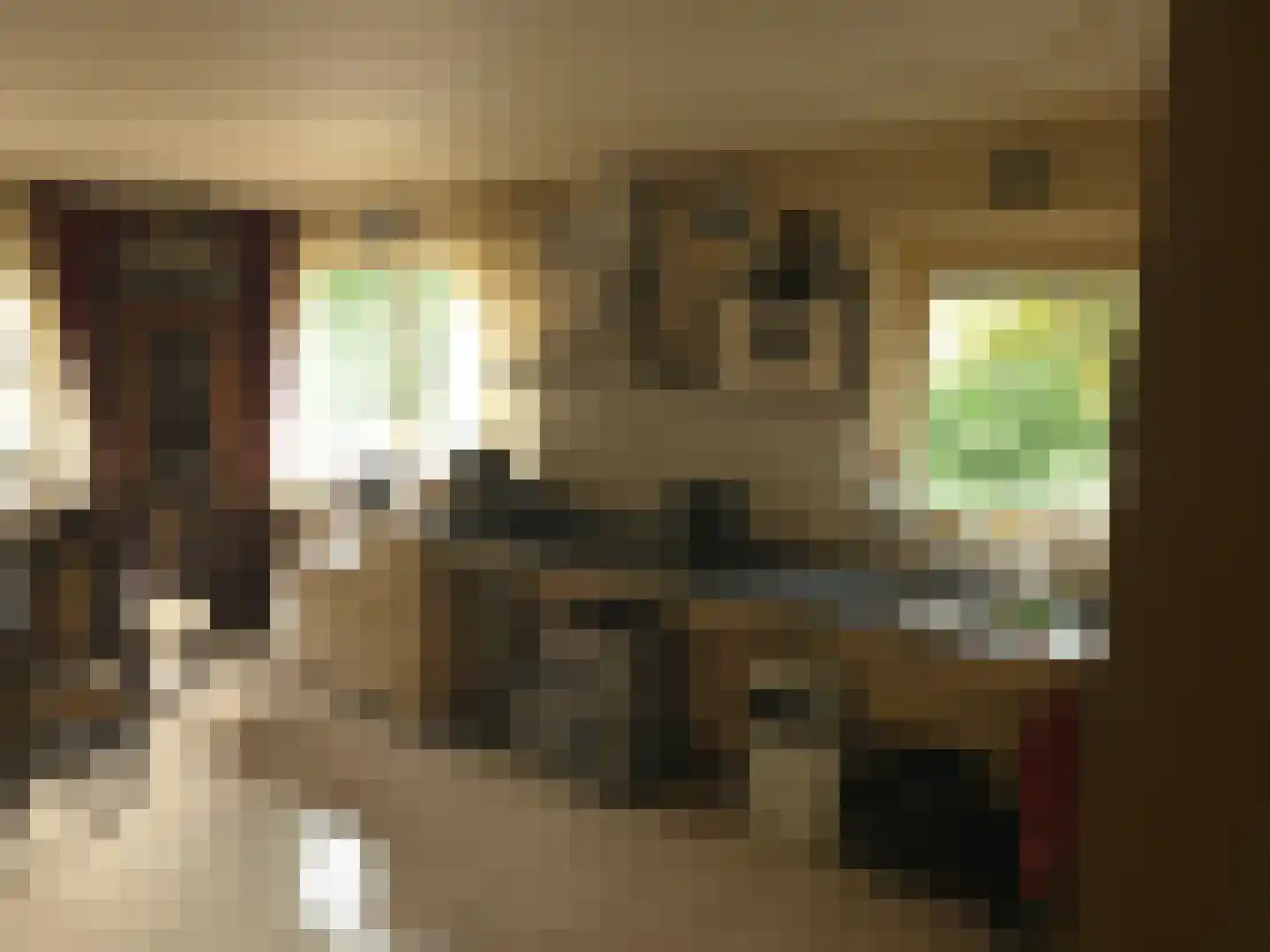 Goormatenweg 43 Overdinkel thumbnail 34