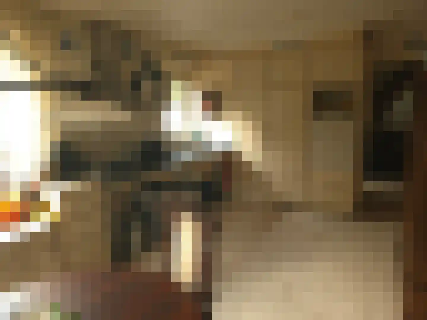 Goormatenweg 43 Overdinkel thumbnail 35