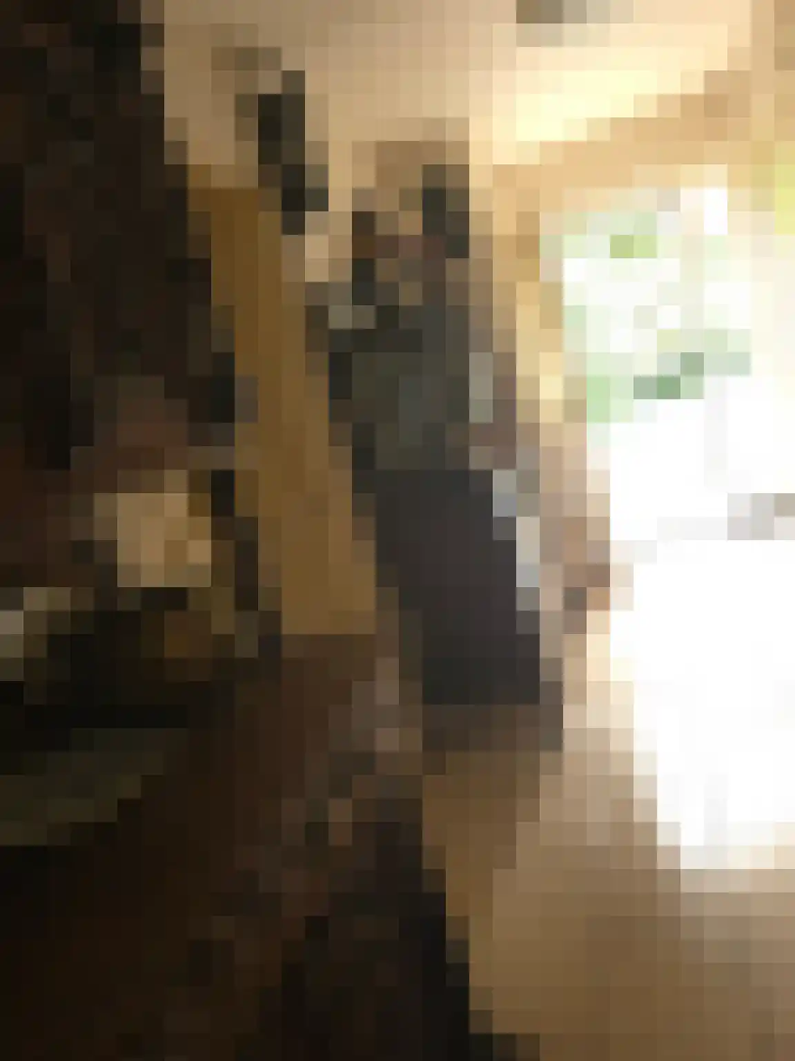 Goormatenweg 43 Overdinkel thumbnail 38