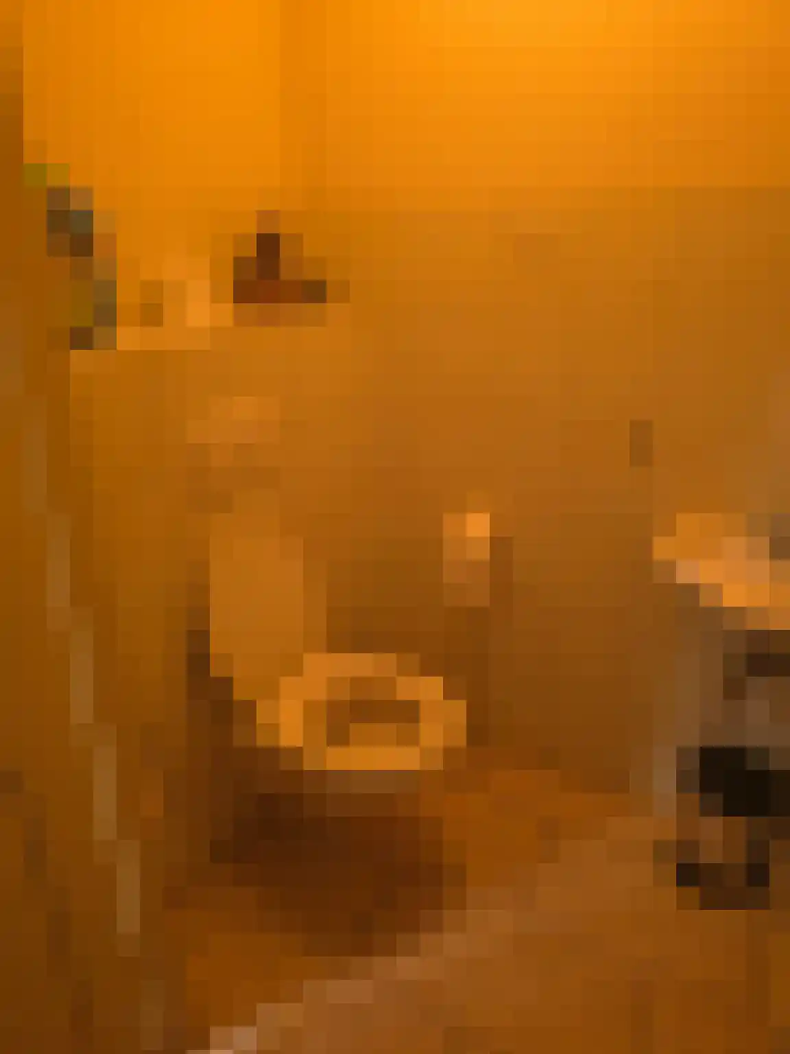 Goormatenweg 43 Overdinkel thumbnail 39