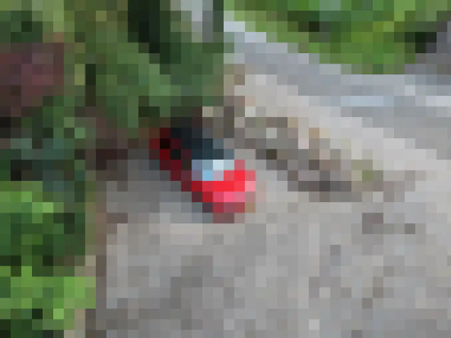 Goormatenweg 43 Overdinkel thumbnail 4