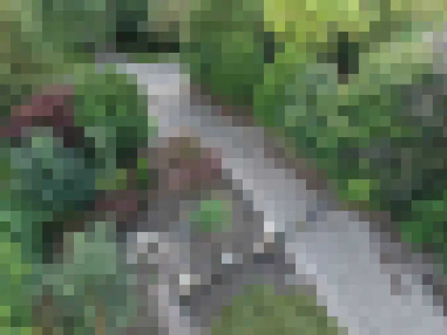 Goormatenweg 43 Overdinkel thumbnail 5