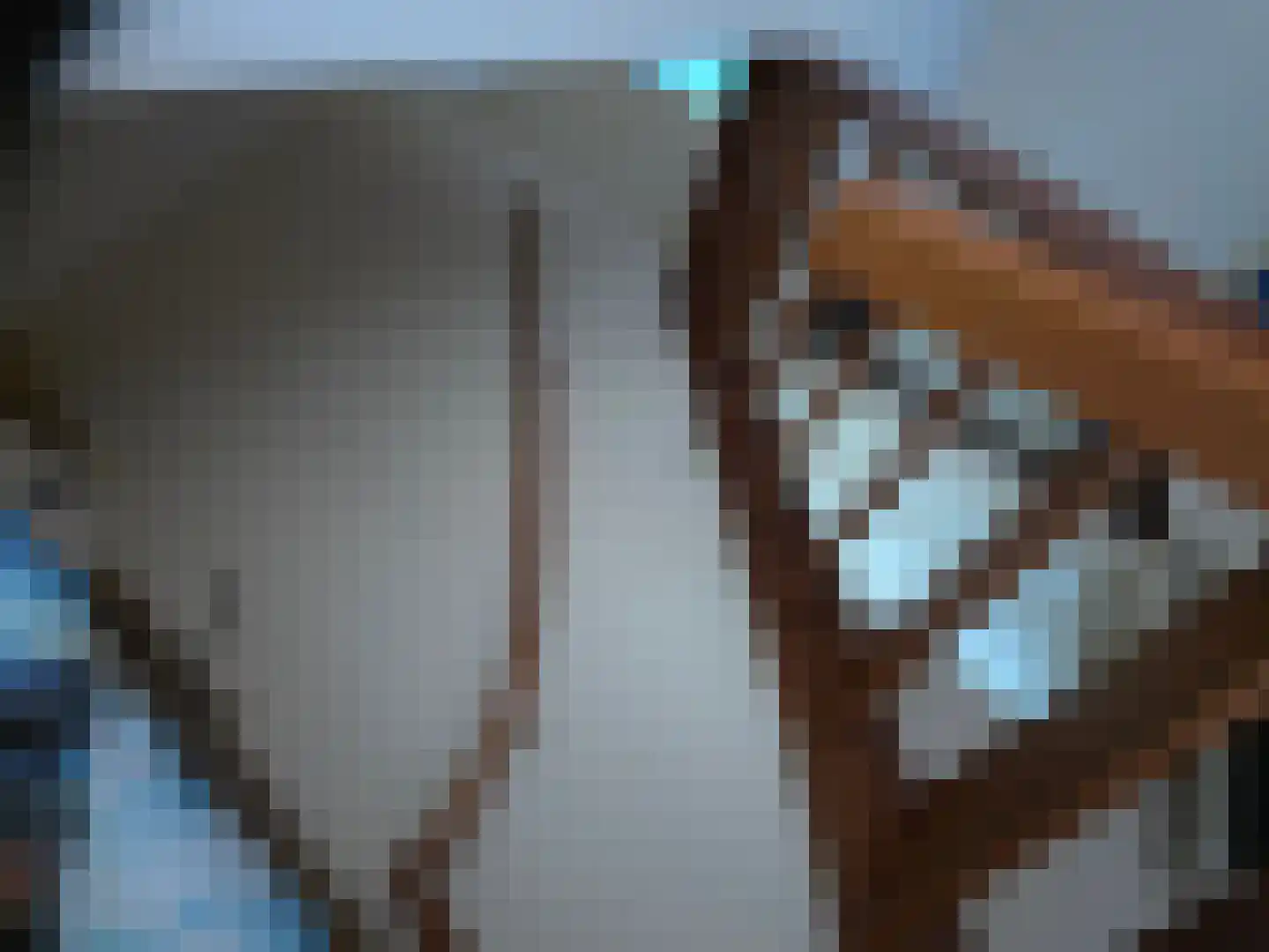 Goormatenweg 43 Overdinkel thumbnail 50