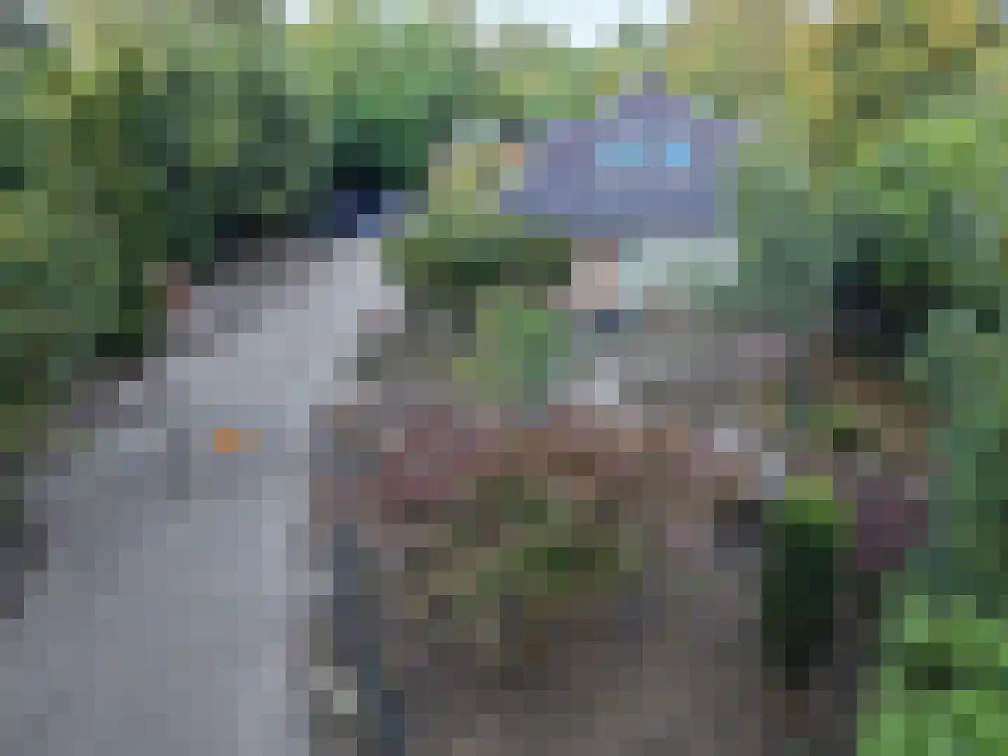 Goormatenweg 43 Overdinkel thumbnail 6