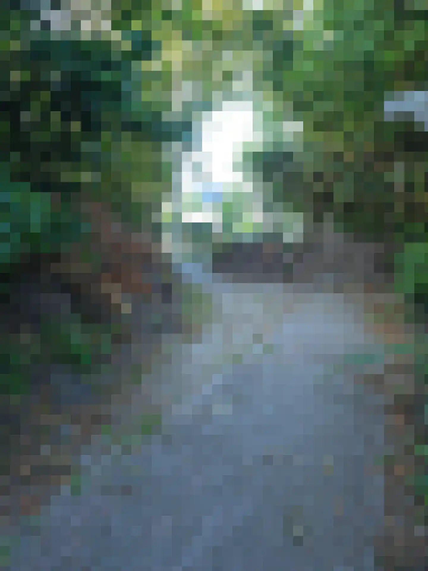 Goormatenweg 43 Overdinkel thumbnail 65