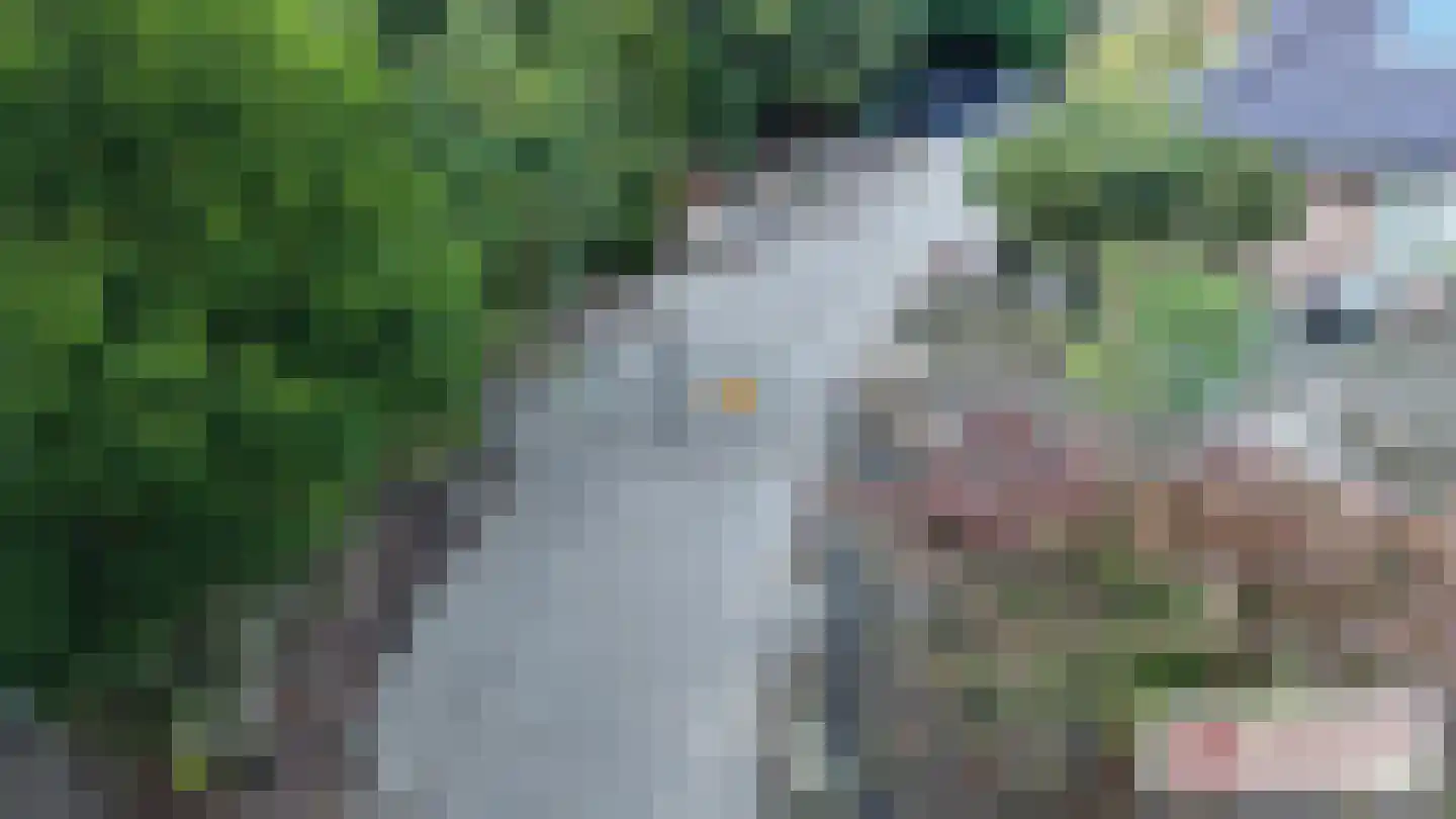 Goormatenweg 43 Overdinkel thumbnail 7