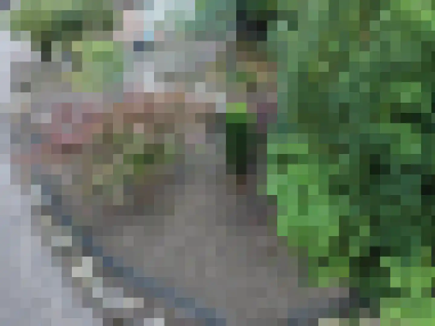 Goormatenweg 43 Overdinkel thumbnail 8