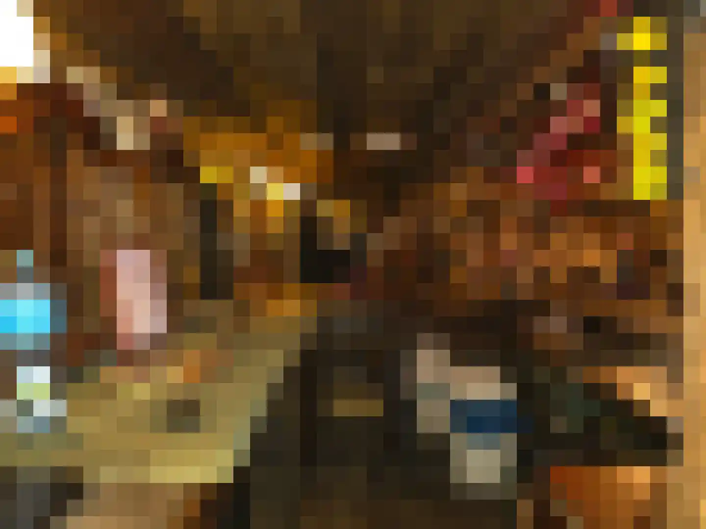 Goormatenweg 43 Overdinkel thumbnail 80