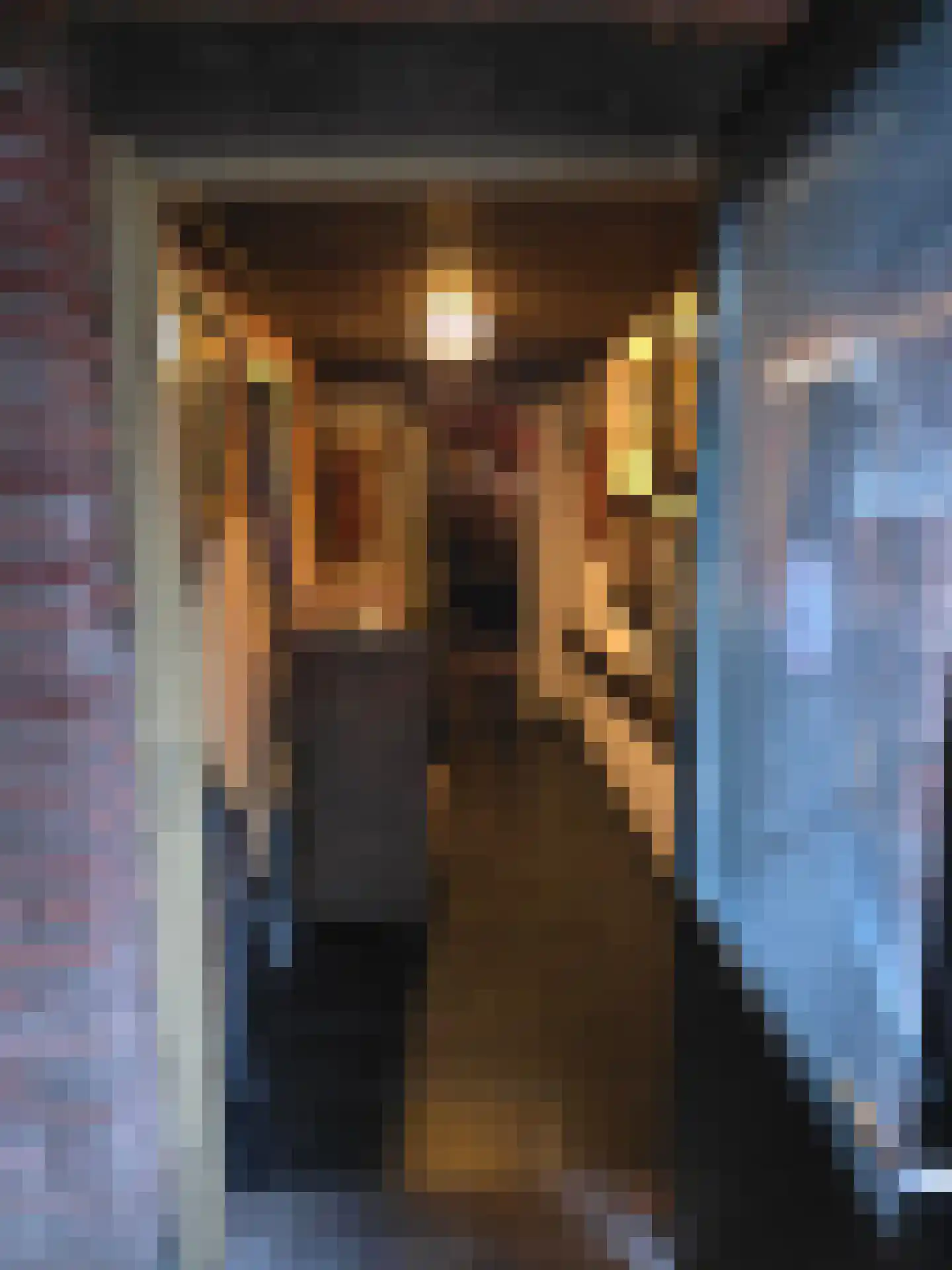 Goormatenweg 43 Overdinkel thumbnail 84