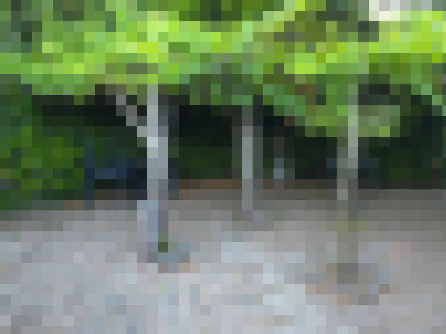 Goormatenweg 43 Overdinkel thumbnail 90
