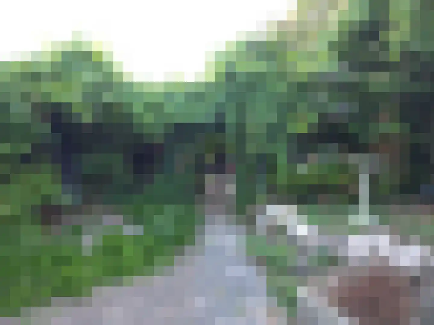 Goormatenweg 43 Overdinkel thumbnail 92