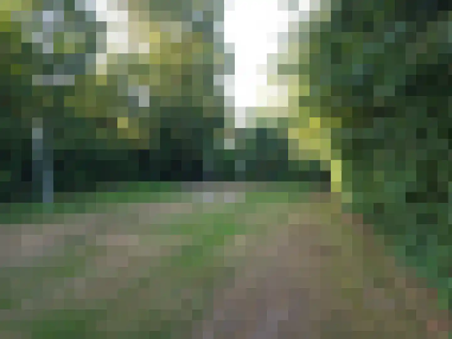 Goormatenweg 43 Overdinkel thumbnail 96