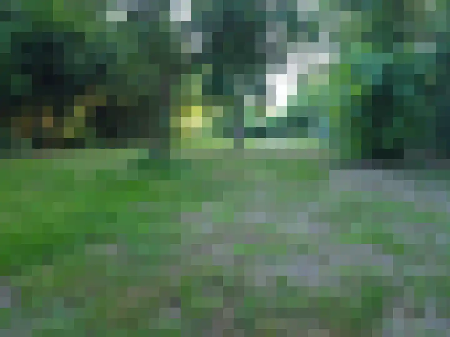 Goormatenweg 43 Overdinkel thumbnail 98