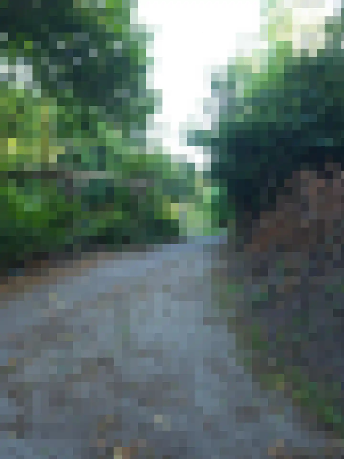 Goormatenweg 43 Overdinkel thumbnail 99