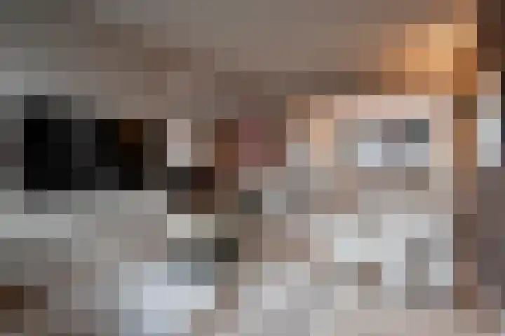 Goornstraat 2 Dalen thumbnail 10