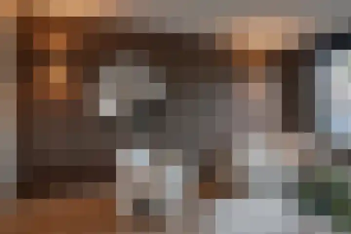 Goornstraat 2 Dalen thumbnail 14