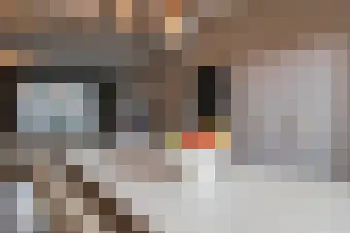Goornstraat 2 Dalen thumbnail 23