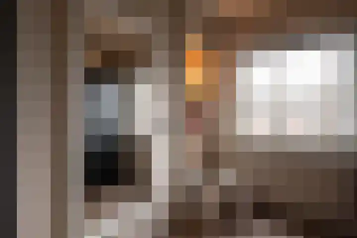 Goornstraat 2 Dalen thumbnail 37
