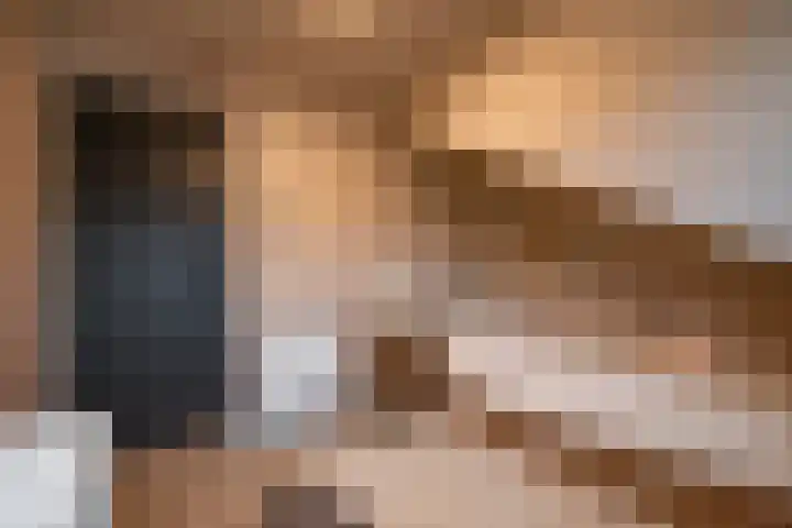 Goornstraat 2 Dalen thumbnail 43