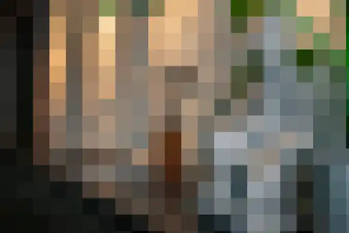 Goornstraat 2 Dalen thumbnail 47