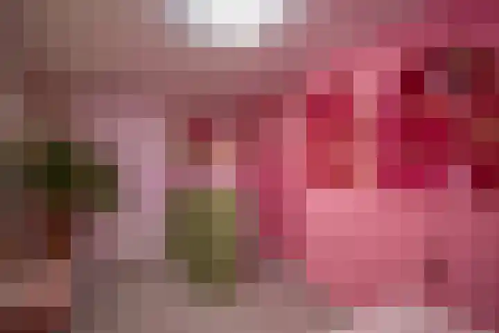 Goornstraat 2 Dalen thumbnail 52