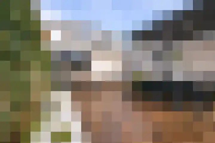 Goornstraat 2 Dalen thumbnail 53