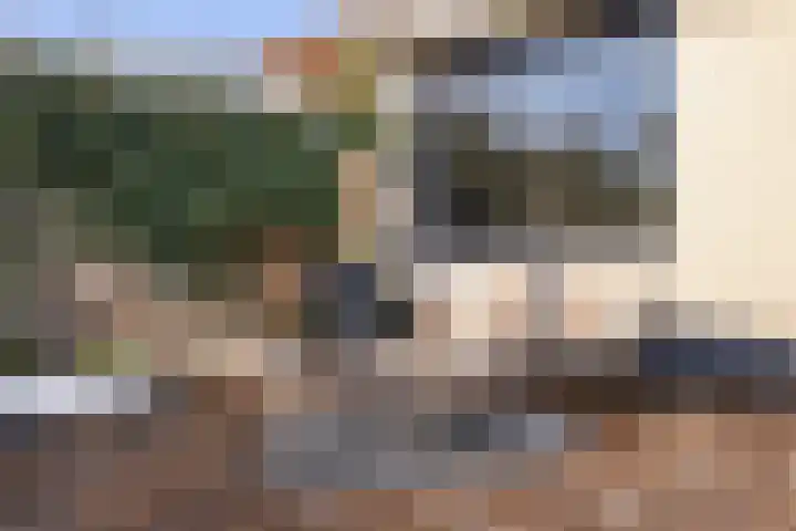 Goornstraat 2 Dalen thumbnail 54