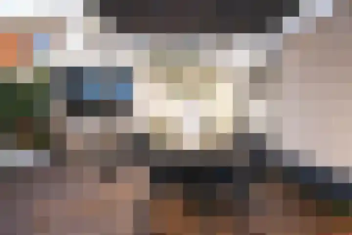 Goornstraat 2 Dalen thumbnail 55