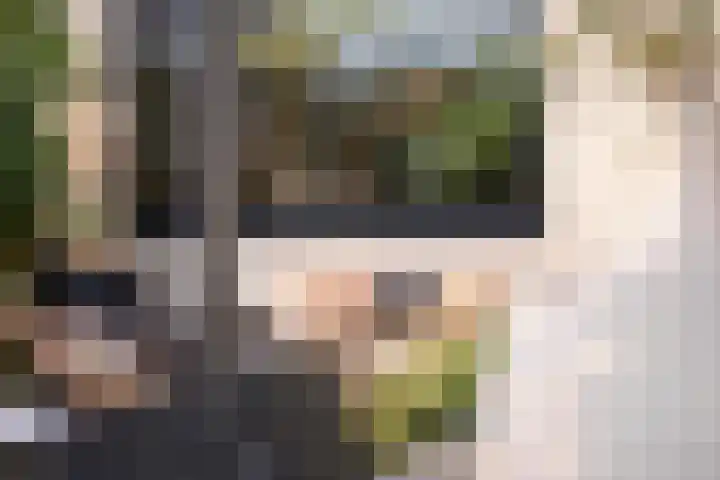 Goornstraat 2 Dalen thumbnail 56