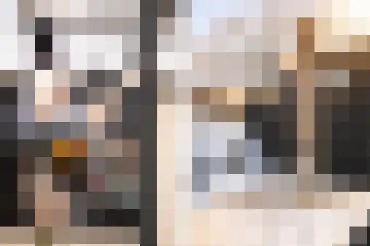 Goornstraat 2 Dalen thumbnail 58