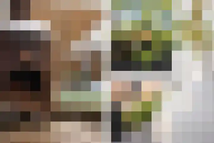 Goornstraat 2 Dalen thumbnail 61