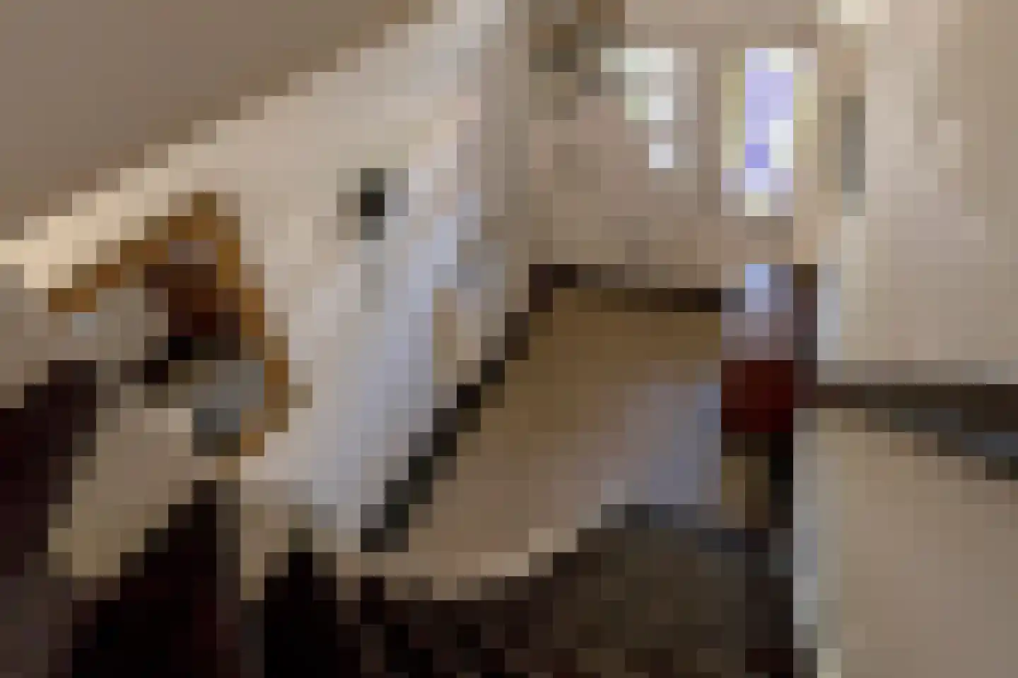 Goorsestraat 10 Haaksbergen thumbnail 22