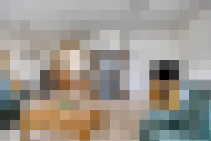Goorsestraat 209 Haaksbergen thumbnail 7