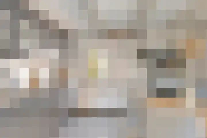 Goorsestraat 33 Haaksbergen thumbnail 22